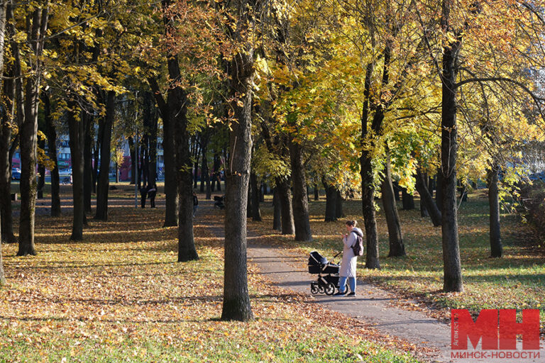 22 10 2024 priroda osennie parki foto terehina 13 kopiya