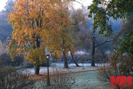 22 10 2024 priroda osennie parki foto terehina 22 kopiya