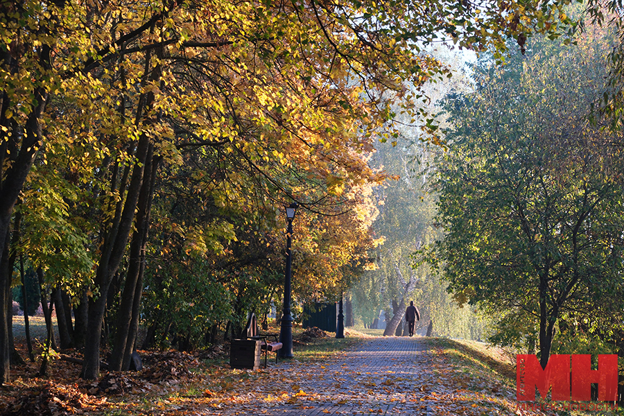 22 10 2024 priroda osennie parki foto terehina 24 kopiya