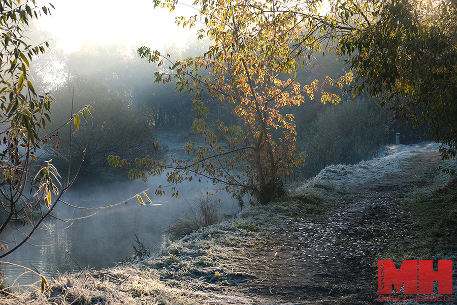 22 10 2024 priroda osennie parki foto terehina 29 kopiya