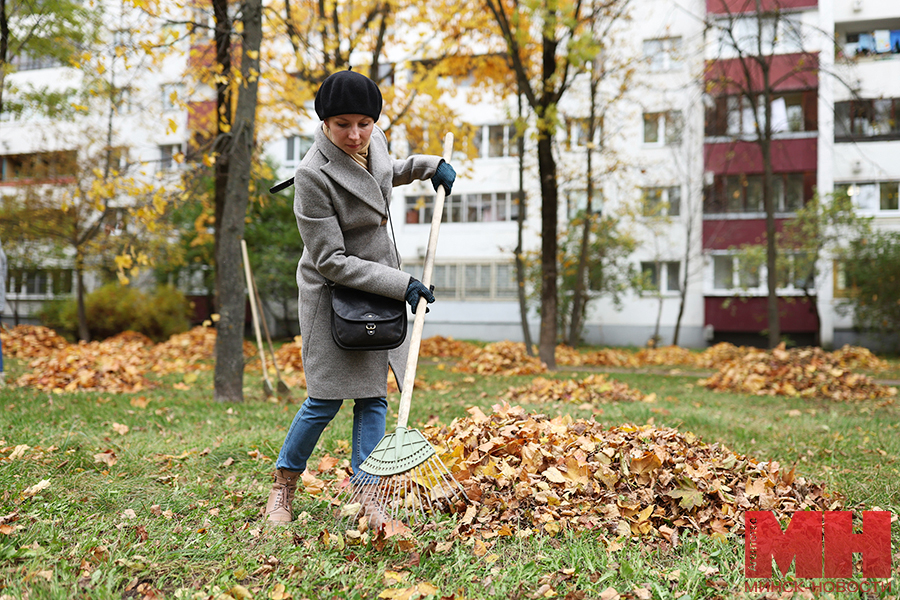 subbotnik minsk novosti lukashov 58 kopiya