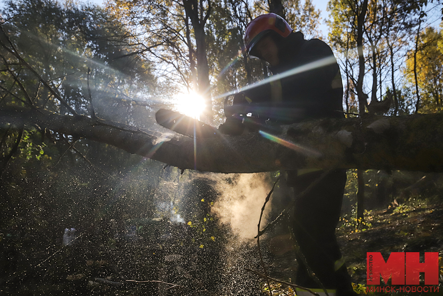 zhkh subbotnik kuharev stolyarov 37 kopiya