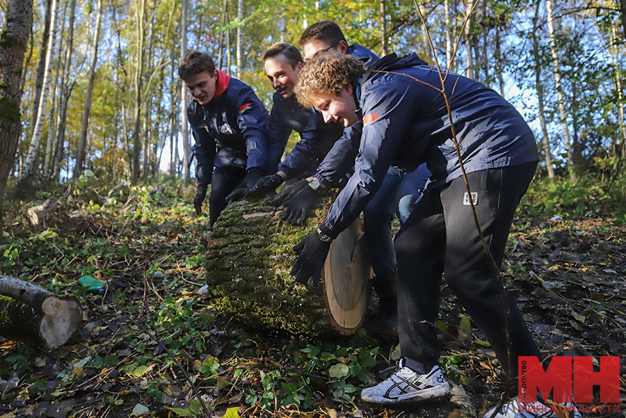 zhkh subbotnik kuharev stolyarov 45 kopiya