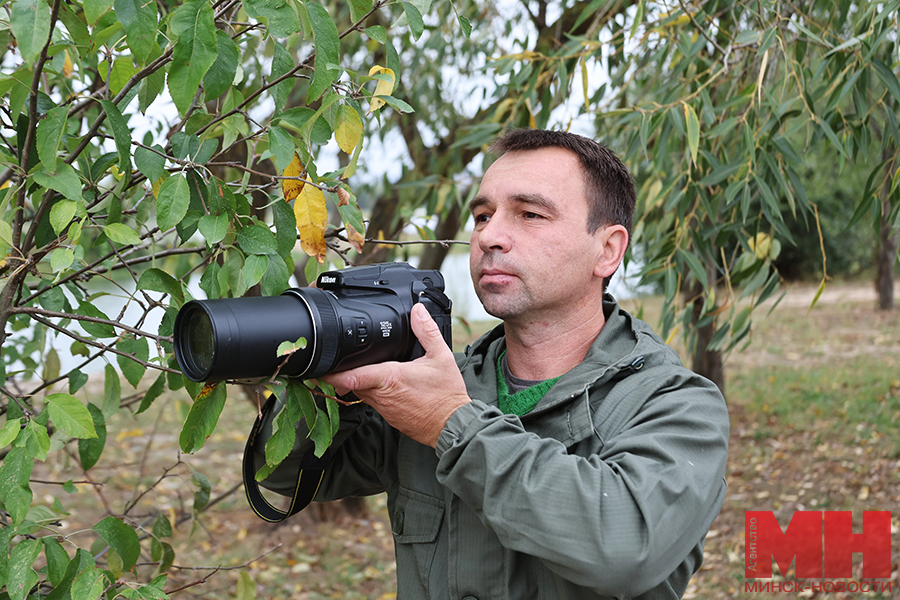 01 10 2024 priroda ostrov chomga mozolevskij 09