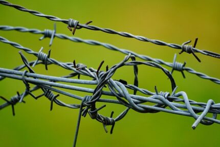 barbed wire 6770905 640