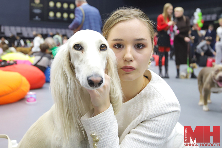 fauna chetveronogie vystavka stolyarov 40 kopiya