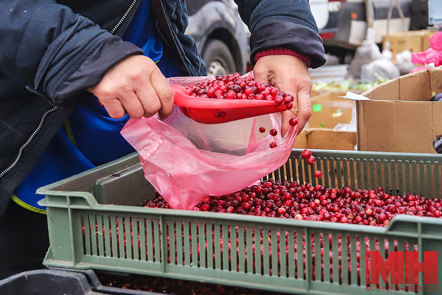 torgovlya ovoshhi frukty yarmarki stolyarov 16 kopiya