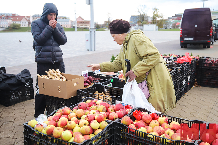 torgovlya ovoshhi frukty yarmarki stolyarov 9 kopiya