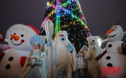 10 12 2024 gorod vklyuchenie elki malinovskaya33 kopiya