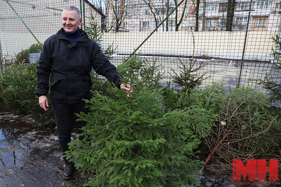 16 12 2024 prazdniki elochnyj bazar miczevich 10 kopiya