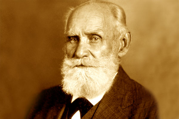 i p pavlov