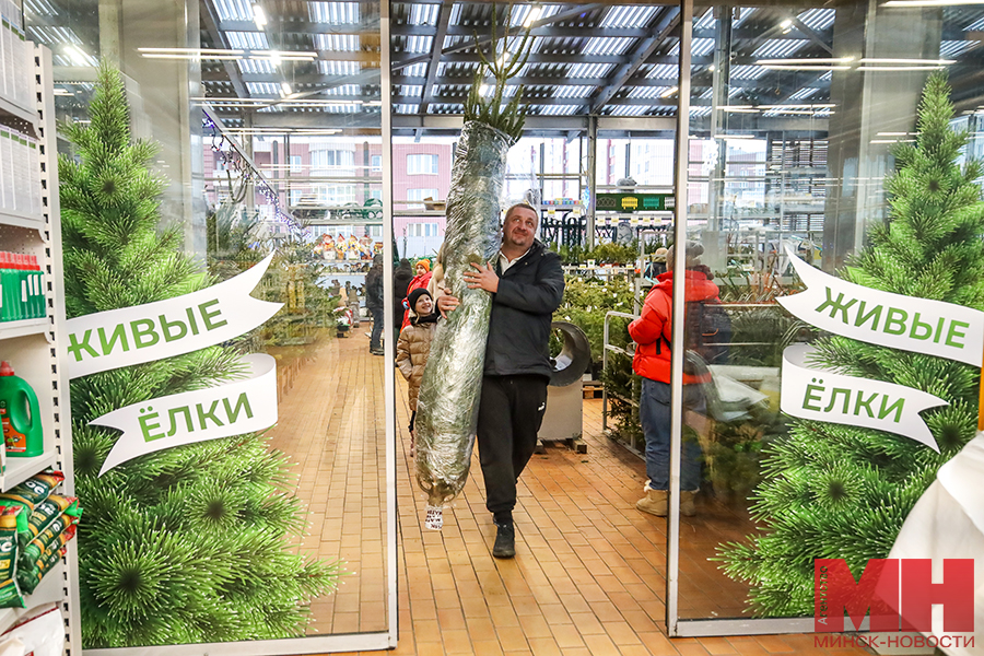 prazdnik torgovlya elochnyj bazar stolyarov 30 kopiya