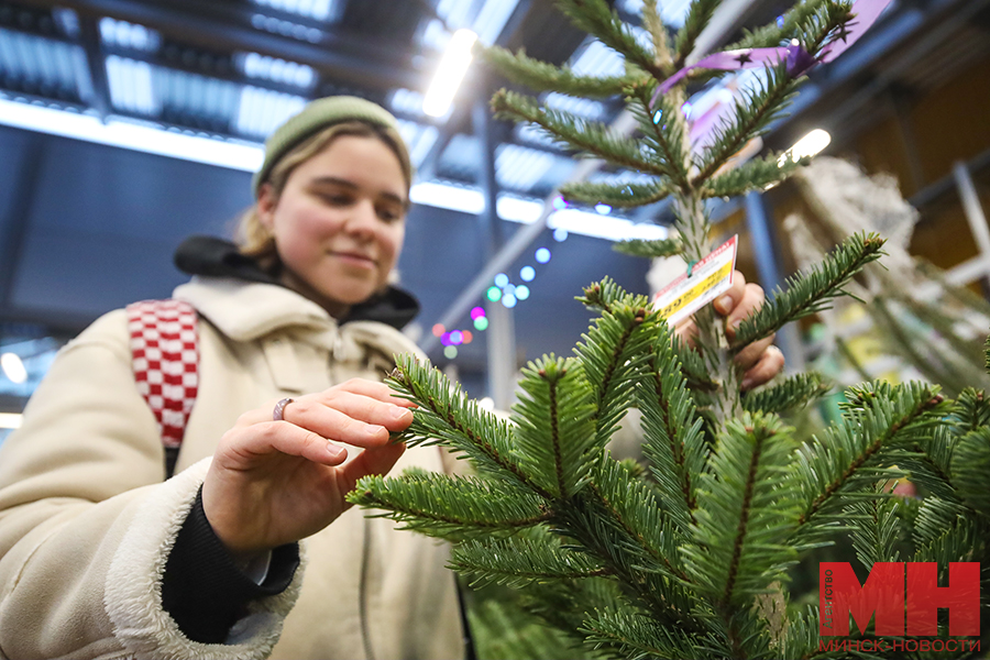 prazdnik torgovlya elochnyj bazar stolyarov 33 kopiya