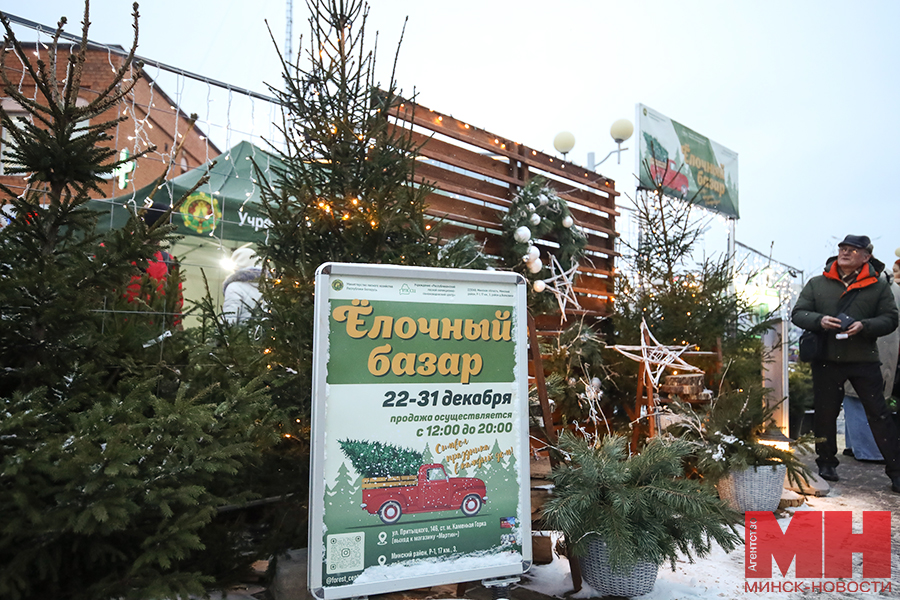 prazdnik torgovlya elochnyj bazar stolyarov 37 kopiya
