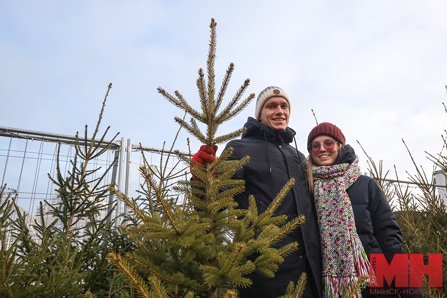 prazdnik torgovlya elochyj bazar stolyarov 2 kopiya