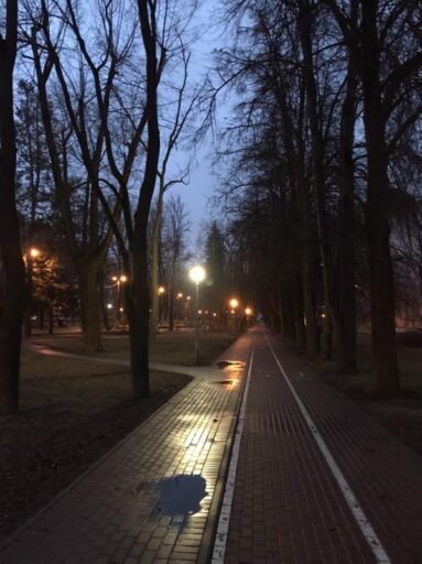 nekrasova ispolnitel