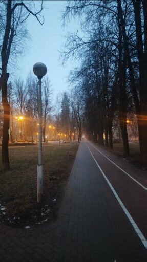 nekrasova polzovatel