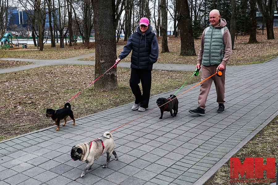 2025 03 30 gorod park pobedy kak otdyhayut minchane miczevich 5 kopiya