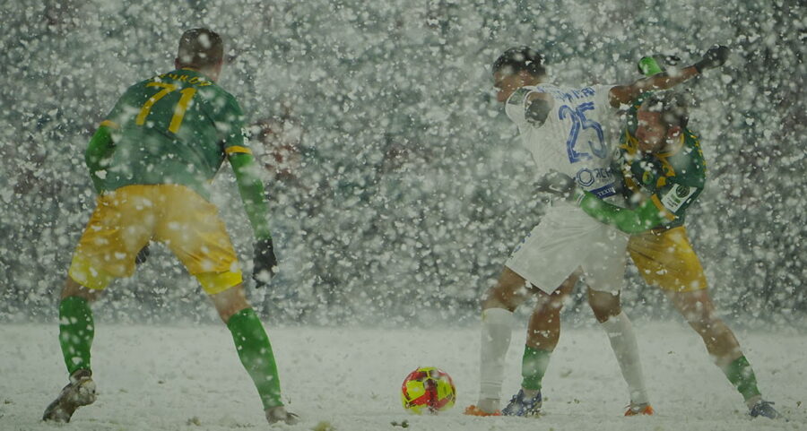 dinamo neman