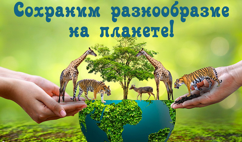 af bijaraznastajnasc rus 1