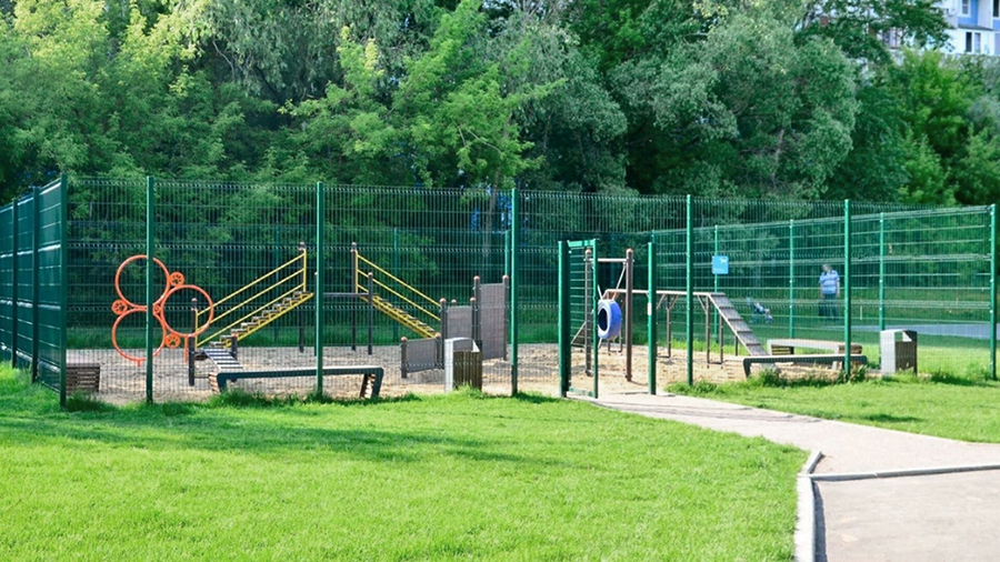 dlya vygula zhivotnyh