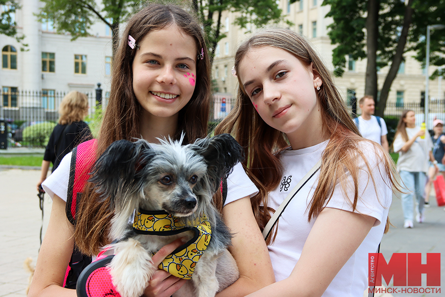 2025 06 08 obshhestvo festival sobaki koty matchenya 20 kopiya