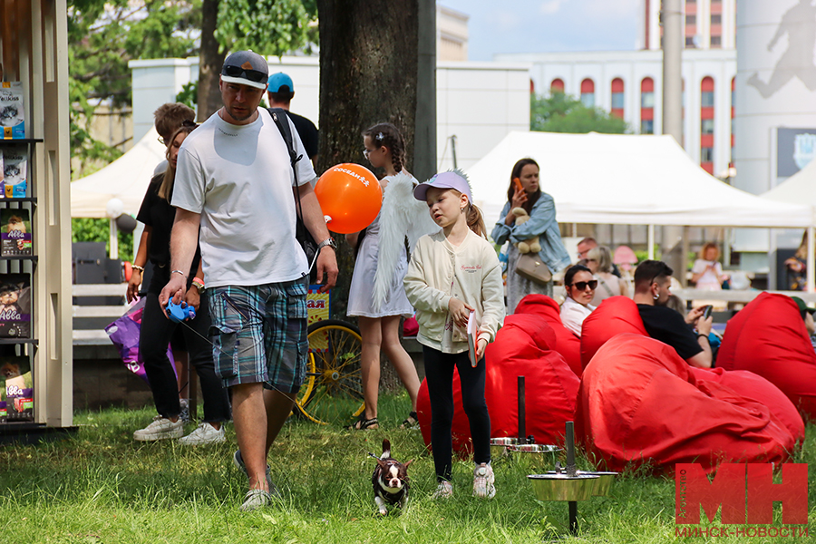 2025 06 08 obshhestvo festival sobaki koty matchenya 23 kopiya