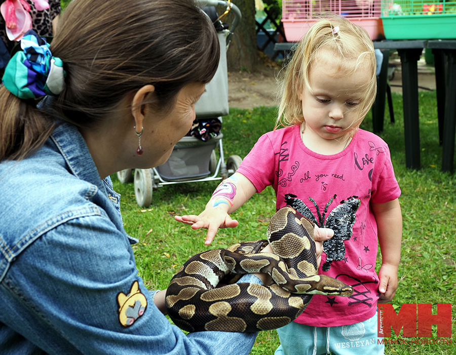 2025 06 19 soczialka inklyuzivnyj festival mozolevskij 34 kopiya