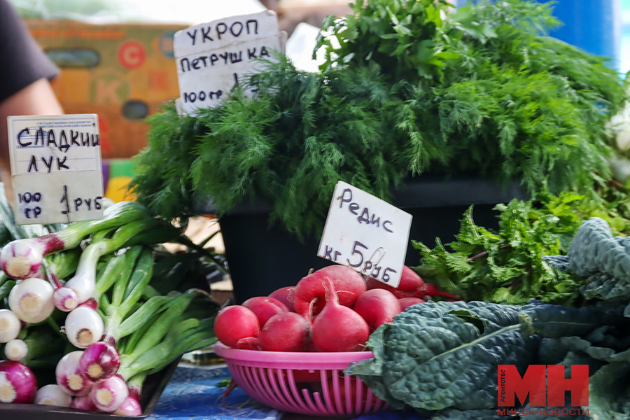 2025 06 28 obshhestvo czeny sezonnye frukty ovoshhi matchenya 10 kopiya