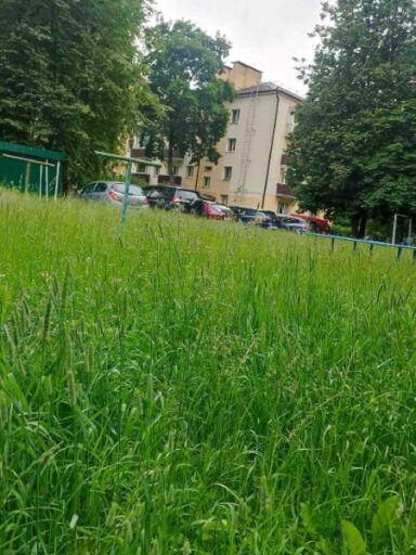volgogradskaya 1