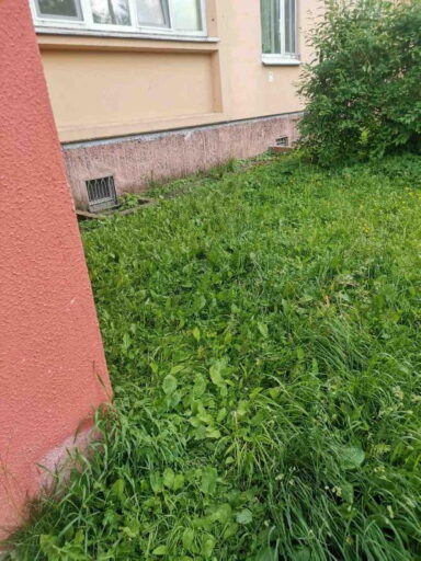 vysokaya 1