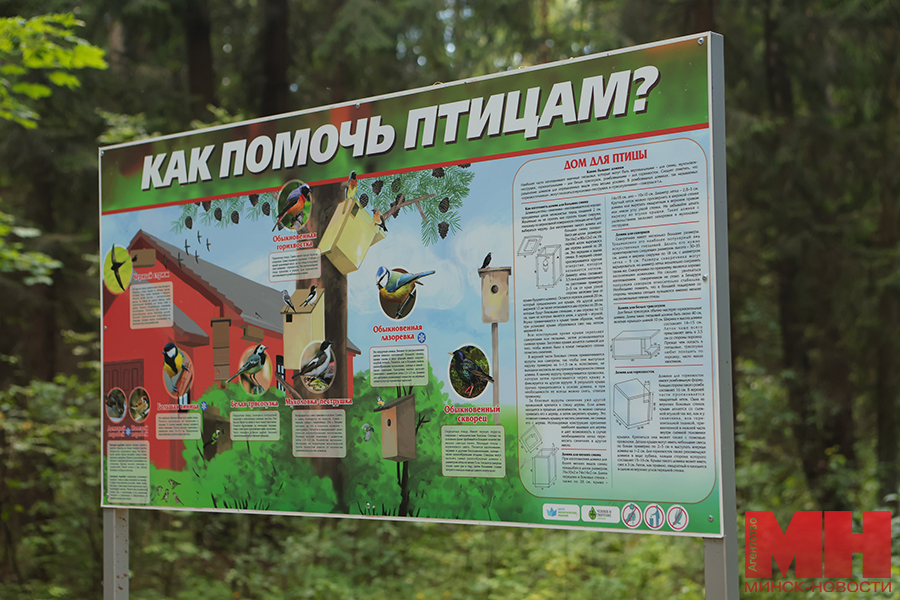 2025 07 24 mgik – oobezd novyh zon otdyha pozhoga 106 kopiya
