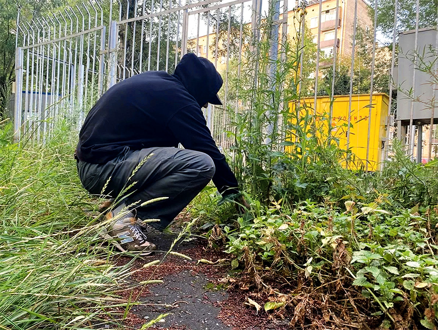 Житель Красноярска приехал в Беларусь в «командировку» и вынужденно задержится здесь на девять лет 1 kollazh kopiya 1