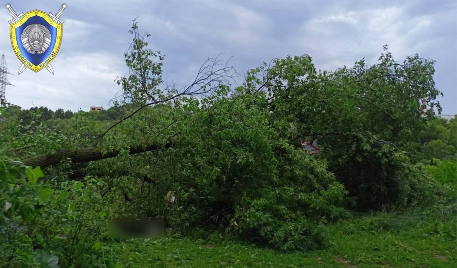 photo 2025 07 10 10 19 25