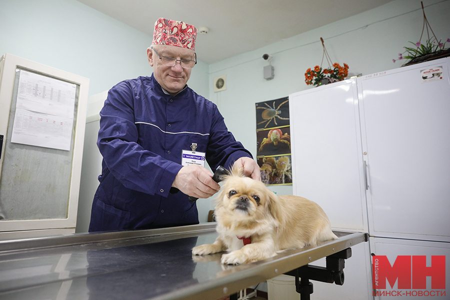 veterinarnaya stancziya pervomajskogo rajona 18