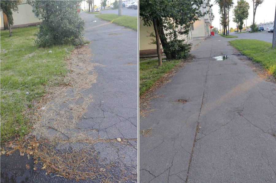 foto polzovatelya ul. borodinskaya