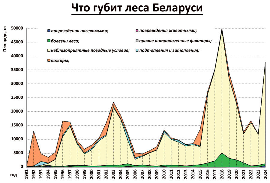 grafik1 kopiya