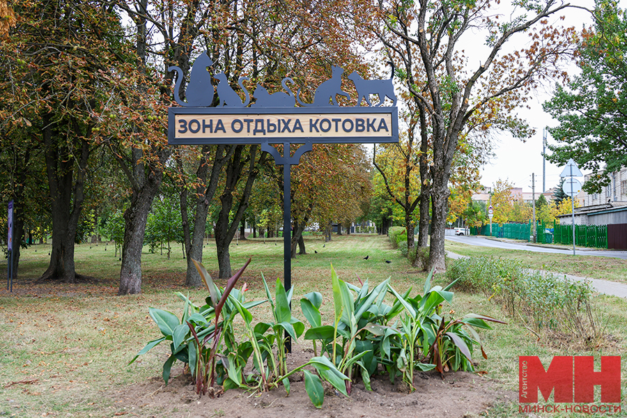 120a9237 kopiya