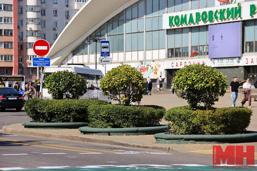 2025 08 29 priroda komarovskij rynok ozelenenie matchenya kopiya 2