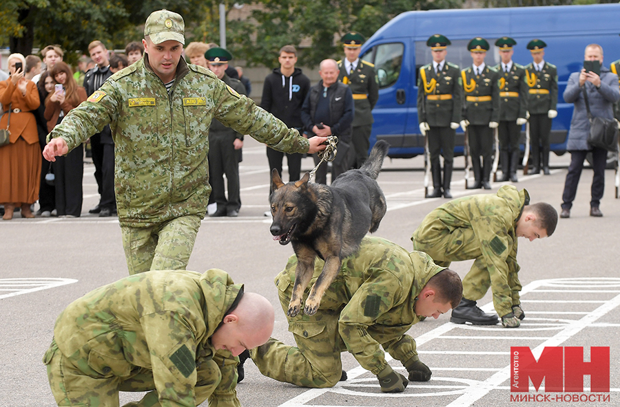dsc 8450 kopiya