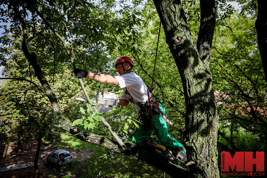 pavel rusak 15 of 39 kopiya