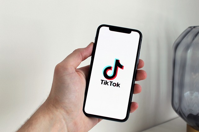 TikTok принадлежит США: Трамп подписал указ о передаче приложения американским IT-компаниям 1 smartphone 5064085 640