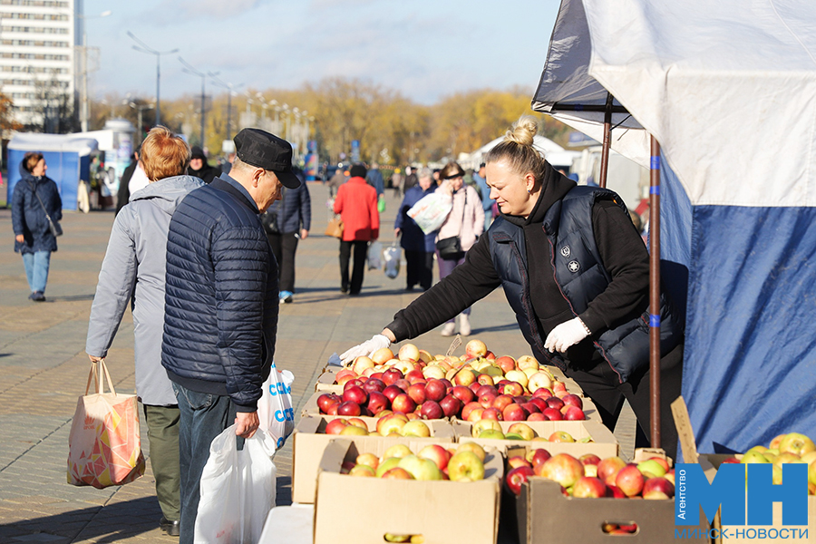 05 11 2023 torgovlya selhozyarmarka ovoshhi frukty malinovskaya16 kopiya