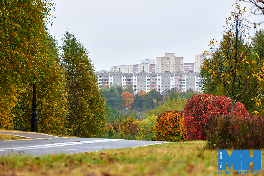2025 10 12 priroda osen loshiczkij park davidovskaya 1 kopiya