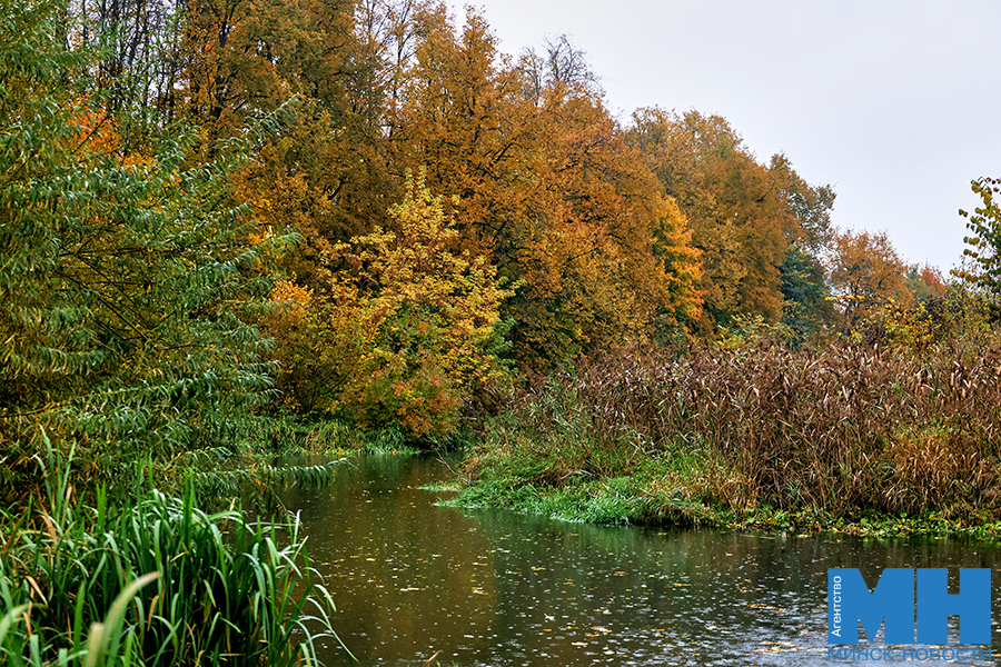 2025 10 12 priroda osen loshiczkij park davidovskaya 11 kopiya