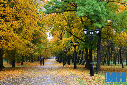 2025 10 12 priroda osen loshiczkij park davidovskaya 12 kopiya