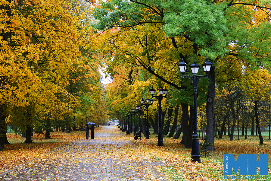 2025 10 12 priroda osen loshiczkij park davidovskaya 12 kopiya