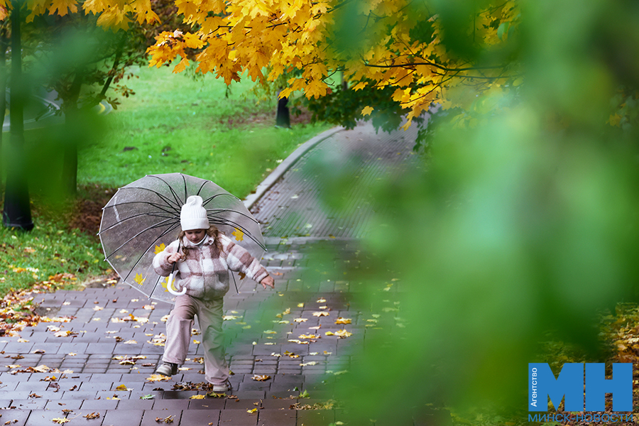 2025 10 12 priroda osen loshiczkij park davidovskaya 2 kopiya