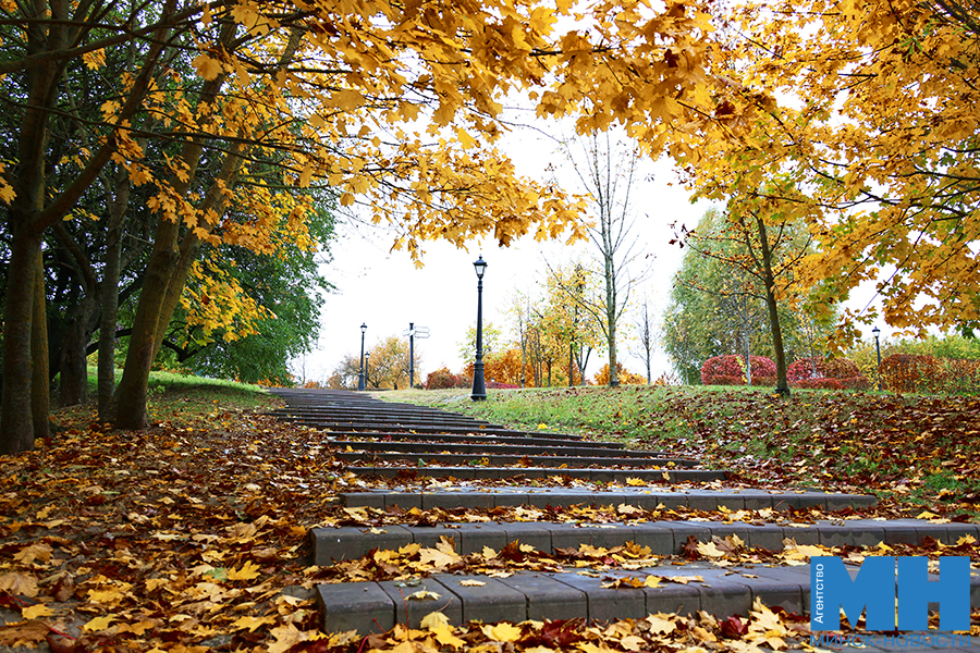 2025 10 12 priroda osen loshiczkij park davidovskaya 3 kopiya