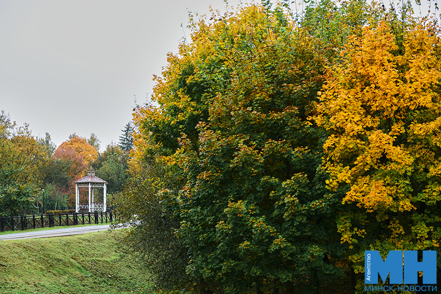 2025 10 12 priroda osen loshiczkij park davidovskaya 4 kopiya